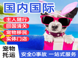 潮汕机场快递国际宠物托运 【国